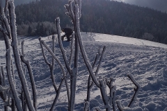 137289268_437254727634354_8294582893201008466_n