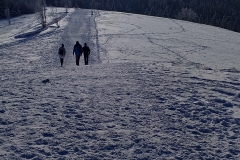 137328087_437701470873841_5581938149076437598_n