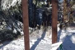 137346634_757009738355562_2367537029144179593_n