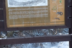 137514888_395003075134365_6008439849624690252_n