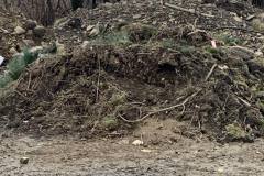 83752371_184592425981268_817699633571561472_n