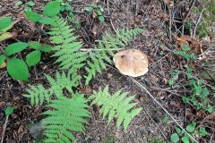 67640110_2124575727847918_800862653101637632_n