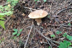 67689549_730016314115928_5405309023115280384_n