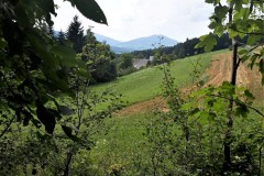 67691209_857568817963592_792358334387716096_n