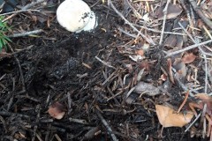 67803001_1089133677951022_5028751592254341120_n