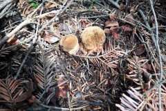 67803211_873444983028286_2465177800449982464_n