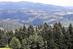 67849703_2081493995493500_250662576386473984_n