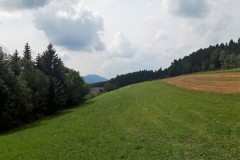 67872538_452473815338059_5558470245540167680_n