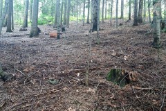 67887390_2186570488313927_2845698837585068032_n