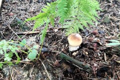 67891149_416516695626772_2128231637484306432_n