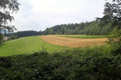 67896724_635261833632686_9078737393959305216_n