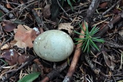 67929641_499244094224130_7722265629574561792_n