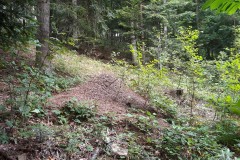 67949615_379854749342415_4872868829442605056_n