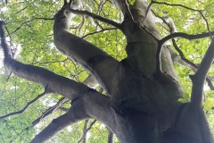 68390667_687232781753229_5742729878751412224_n