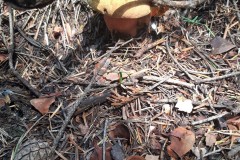 68529063_690355004767478_4651910792336113664_n