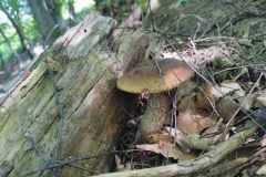 339948756_792252842360761_971068990555989069_n