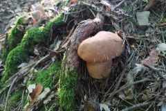 355643922_294710956385829_4894972893911238409_n