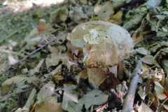 355971756_2973764922766197_4125334836672869904_n