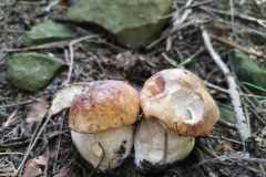 356379704_816742739842931_4308955800144498500_n