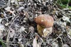 356641326_289555733467044_9084862565222960289_n