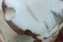 727337249_2905859496418236_4999465073765147925_n