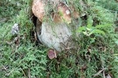 22119066_1476958942388721_262756202_n