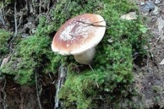 22119174_1476958919055390_1965142111_n