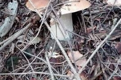 22127320_1476958932388722_1865989371_n