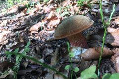 68809185_672743269912913_5853158805101084672_n