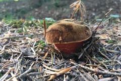 68930196_409662413089142_3292224541283057664_n