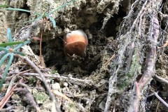 69063856_482244345932655_8153901287247708160_n