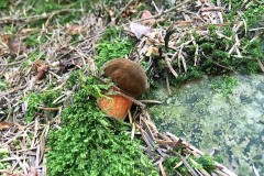 69365996_2676538489023945_7091283003342585856_n