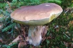 221930636_186010743567160_6251375988934423007_n