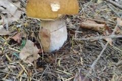 221988772_1735086790008467_2377610465909170562_n