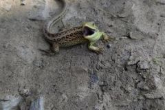 224175996_180414587481399_1846986264381905749_n