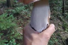 225807848_259689428928533_4688967579406056236_n