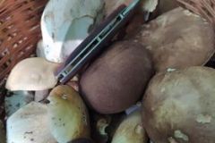 225823949_172177764869646_5877092560819071784_n