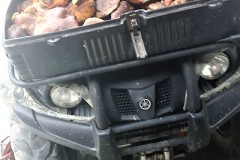 67743120_403081973645281_8151332119415619584_n-1