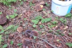 67815496_2524215591135403_32737494860562432_n