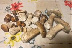 67871815_521115878658504_5022320913815699456_n