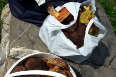 68527077_644644486048449_1413935678026153984_n