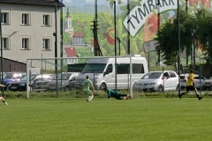 Gol