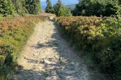 24a4c073-1fa6-4051-82d7-b76eb4112e8e