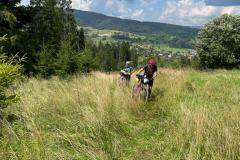 c9fc2381-a133-45fb-93d4-80dd67701c8e