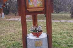 257311328_6734885719885656_4049582466649828480_n