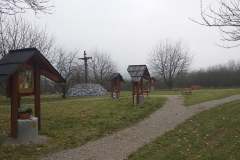 257649974_278820757517086_2116060856487937979_n