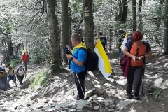 119432174_830207160849836_3211458956620834413_n