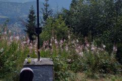 119709482_241885480535848_8942767951507633503_n