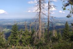 119739698_690681874988847_9027284545299116220_n