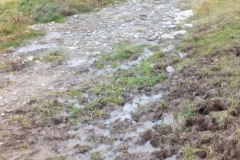 zdj drogi przed remontem 12